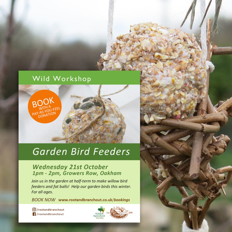 Garden Bird Feeders Workshop with Root and Branch Out