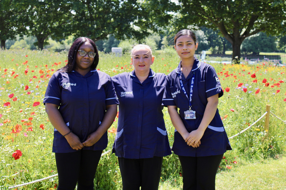 Bluebird Care Richmond & Twickenham