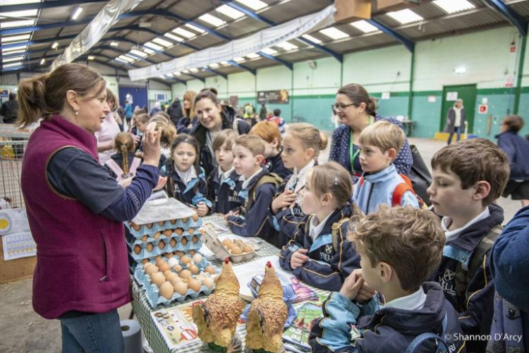  Field to Food Learning Day gives primary school pupils practical lessons in farming and food production.