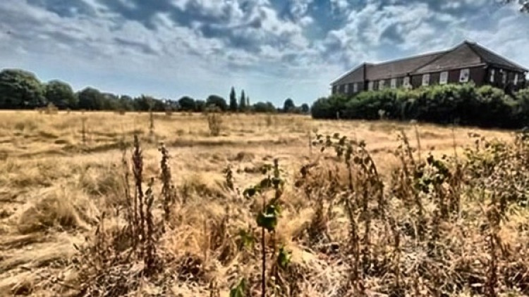 The owner of Teddington's Udney Park playing fields has been arrested in Japan, leaving the field's future in limbo (Credit: Udney Park Community Fields Foundation)
