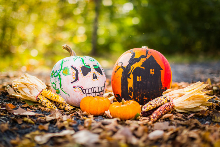 Spooky Scavenger Hunt
