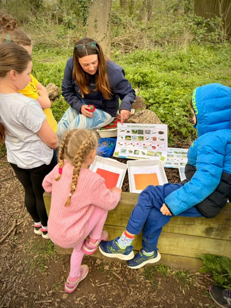 Family Nature Activity Session