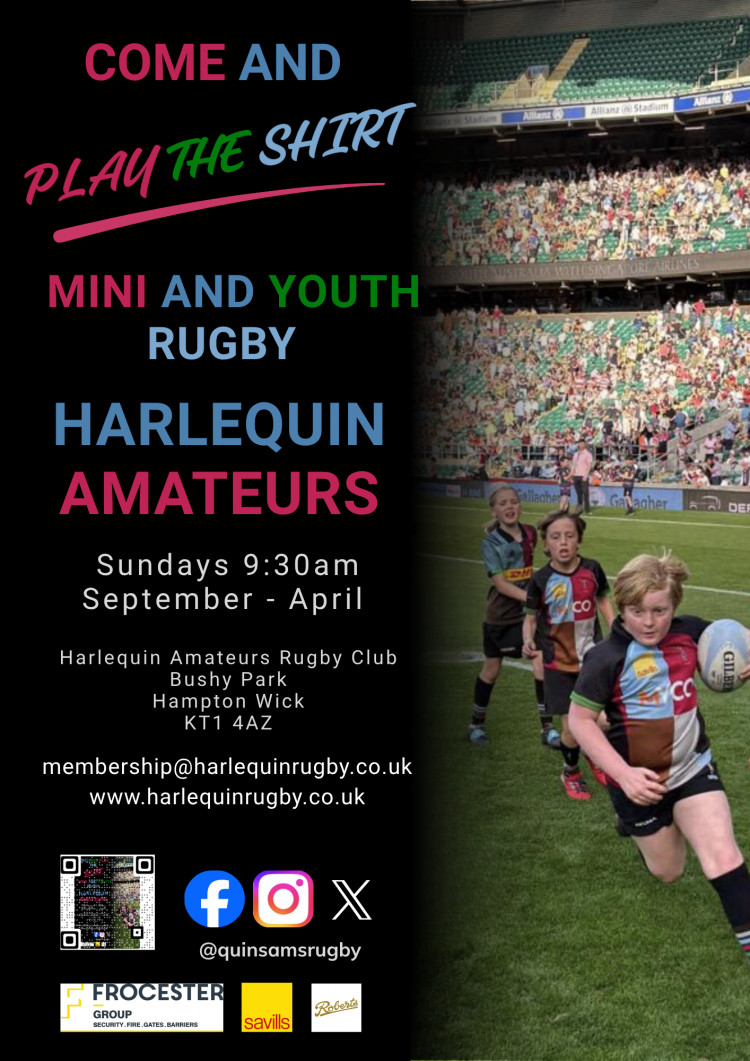 Harlequin Amateurs Rugby Club: Mini and youth rugby