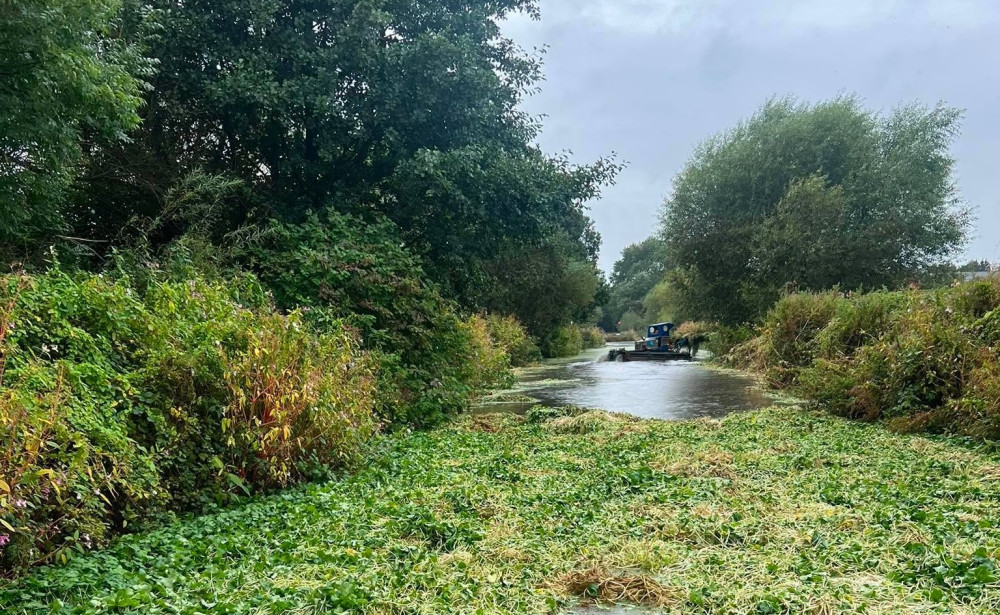 Floating tractors are removing around 30 tonnes of weed per week from waterways across the region (Image: Canal & River Trust)