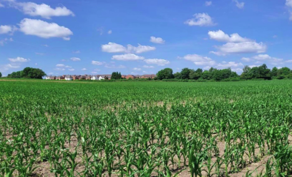 Warwick District Council has approved Sharba Homes to build 160 homes in Bishop’s Tachbrook in Warwickshire, after eight councillors voted yes (image via planning application)