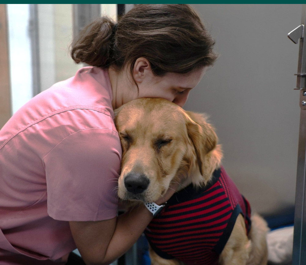 Nurture Vet Hospital is encouraging owners to ask who owns their practice and where overnight care is provided.