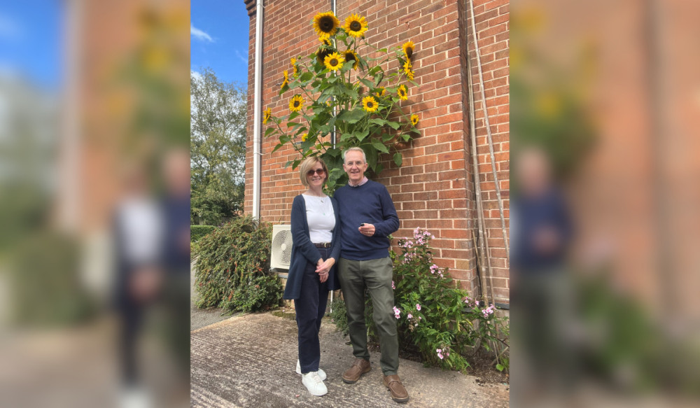 A Prestbury couple have grown a huge sunflower in memory of a late loved (Credit: East Cheshire Hospice)