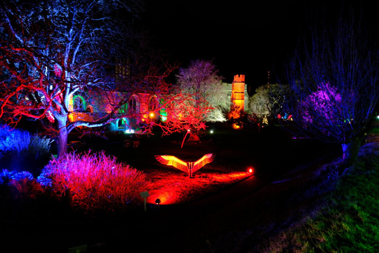  Christmas illuminations return to The Bishop’s Palace in Wells from 1 December, with a 12 Days of Christmas theme and new indoor displays.
