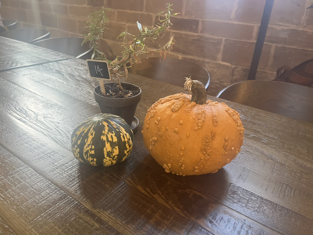 Halloween Pumpkin Carving Competition at the Lord Leycester 🎃