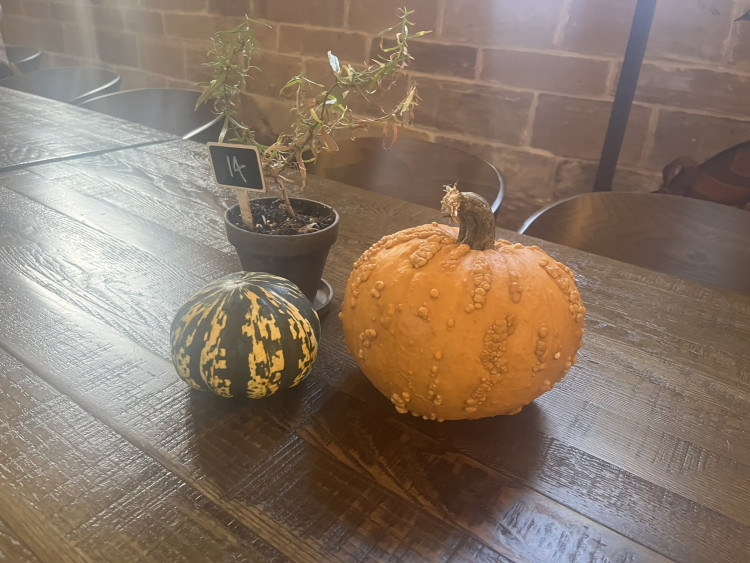 Halloween Pumpkin Carving Competition at the Lord Leycester 🎃