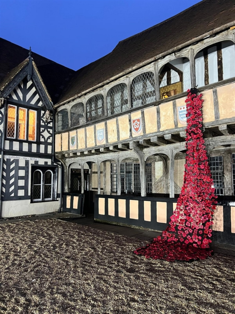 Remembrance Day Poppy Display
