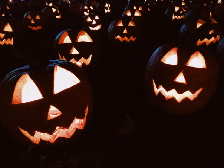 In October, families can enjoy seven easy, low-cost Halloween activities at home and outdoors, from pumpkin carving to spooky film nights.