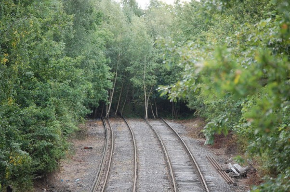 Root and Branch Line