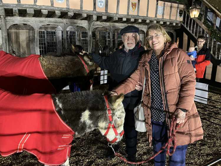 Donkeys in the Courtyard at the Lord Leycester