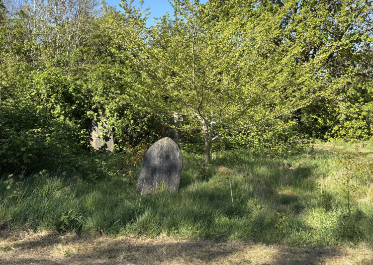 Plans to phase out plastics in Kingston Cemetery have been blocked (Credit: Alison Fure) 