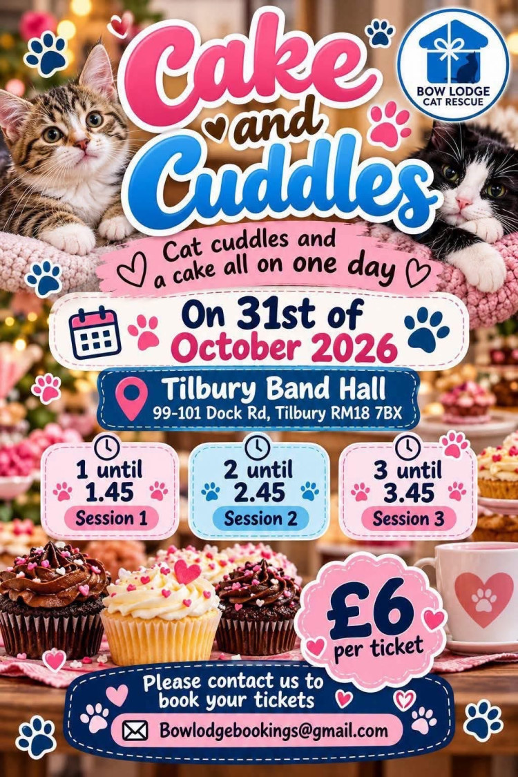 Cake & Cuddles