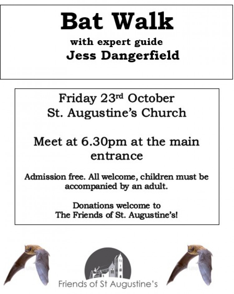 Bat Walk at St Augustine's Church