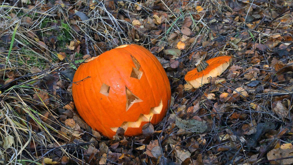 Will you be carving a pumpkin this year? (image via Walter Baxter on Geograph)