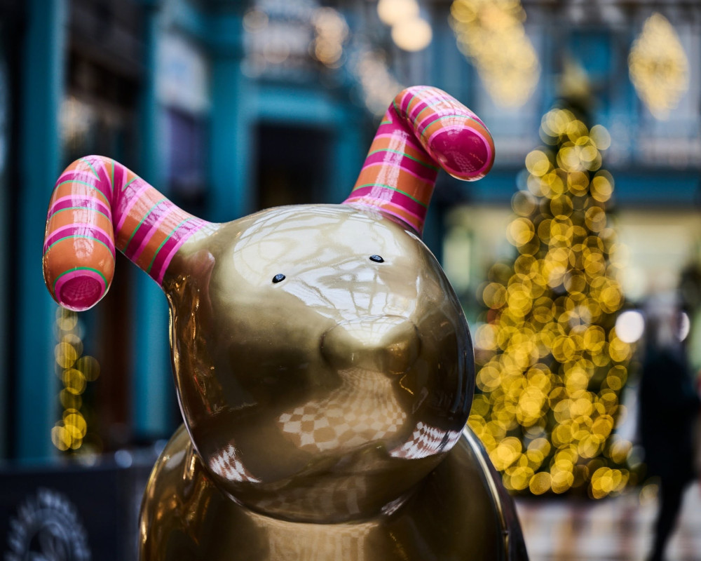Macclesfield Town Council have teamed up with Wild in Art to launch the 'Snowdogs Discover Macclesfield' sculpture trail this Christmas (Credit: Wild in Art)