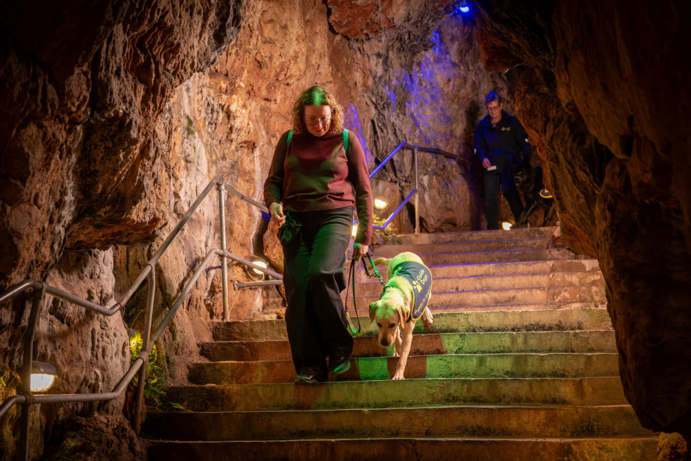A guide dog puppy practises walking down steps in the cave (Dave Pratt/Guide Dogs)