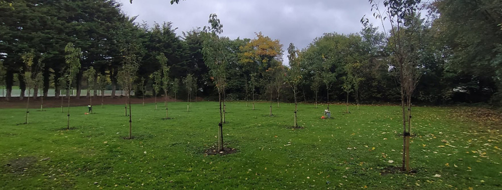 39 trees have been planted in memory of each person who lost their life.