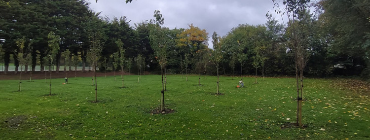 39 trees have been planted in memory of each person who lost their life.