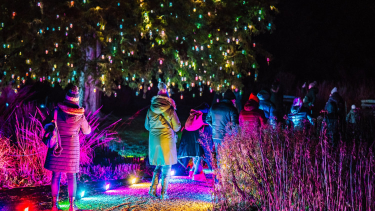 The Winter Light Trail will return on 20 November (image via Winter Light Trail)