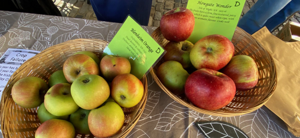 Blenheim Orange and Howgate Wonder were among the apple varieties on offer