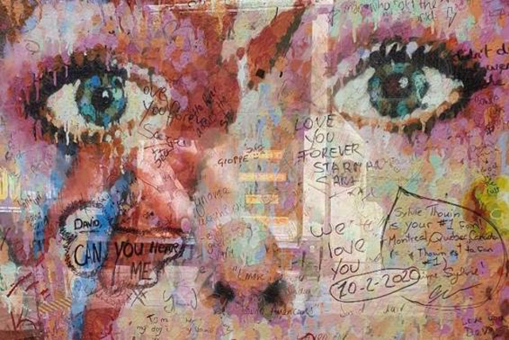 Kingston University is hosting a David Bowie conference next month (Image supplied)