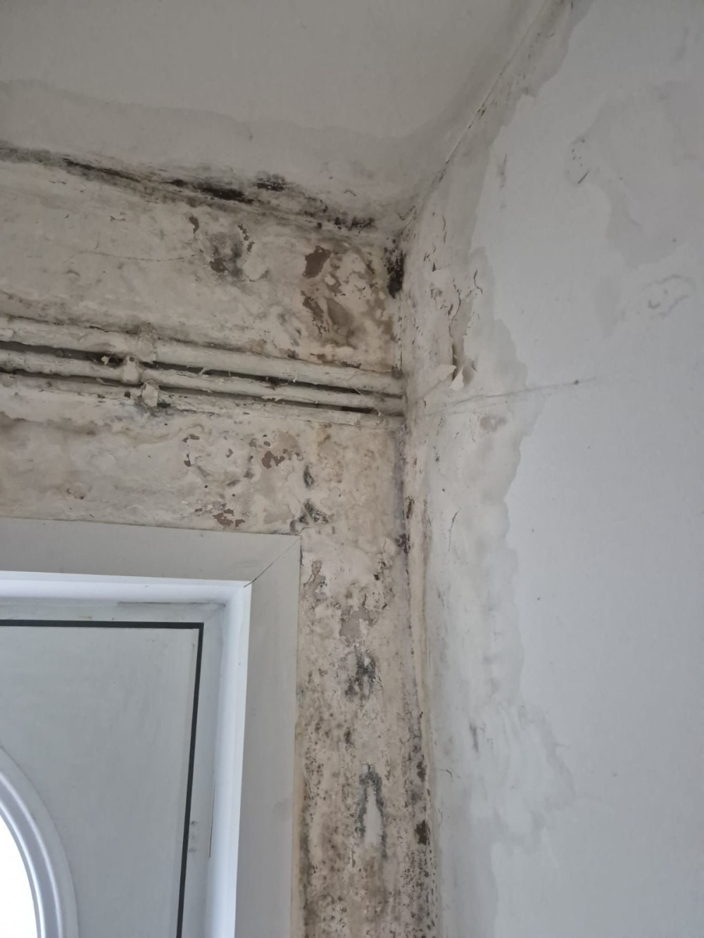 Disrepair Support helps Congleton tenants of Plus Dane Housing Group and Peaks & Plains Housing Trust claim compensation for unresolved damp and mould (image supplied)