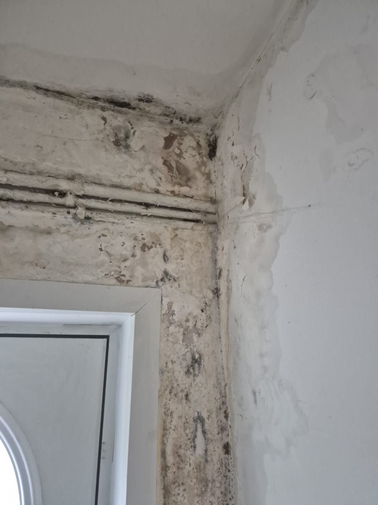 Disrepair Support helps Congleton tenants of Plus Dane Housing Group and Peaks & Plains Housing Trust claim compensation for unresolved damp and mould (image supplied)