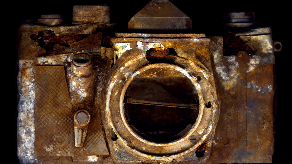 NoonPowell Fine Art presents 'Lost in Rust' (credit: Gered Mankowitz).