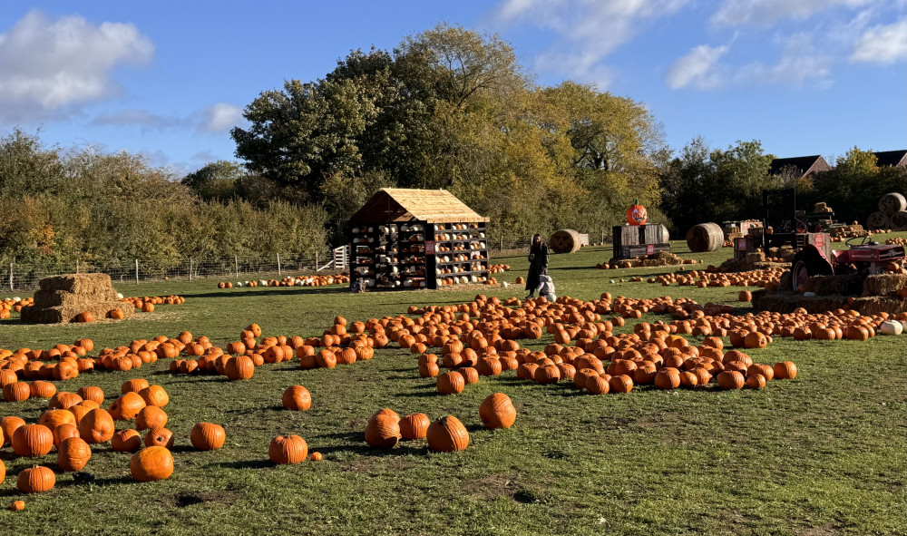 Pumpkin o’clock 