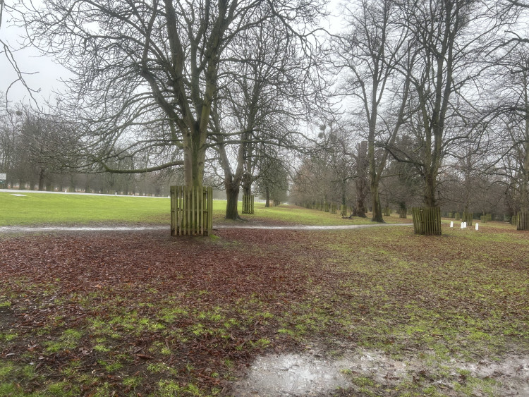 A yellow weather warning has been raised for Teddington ahead of Storm Austen this weekend (Credit: Tilly O'Brien)