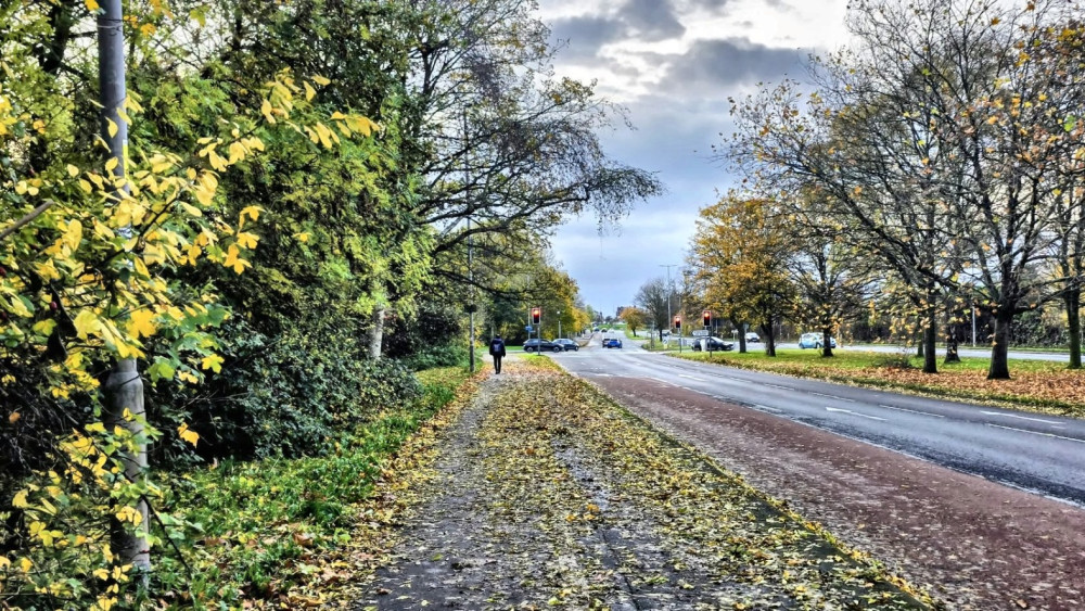 Yellow weather warning this weekend. (Photo: Ryan Parker)