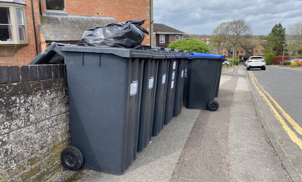 Green bin charges in Warwick look set to be frozen (image via SWNS)