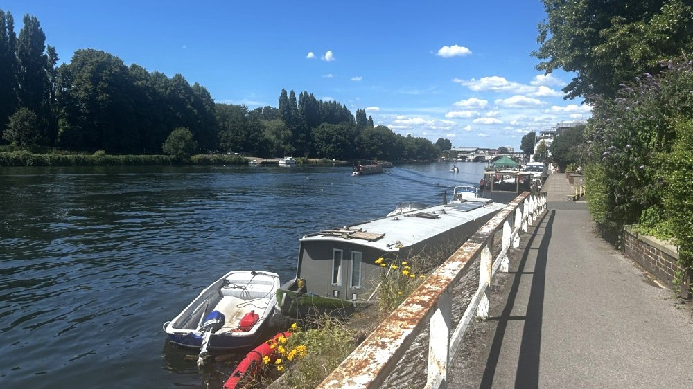The blue-green algae warning for the bathing spot on the Thames at Ham and Kingston has been cleared (credit: Tilly O'Brien).