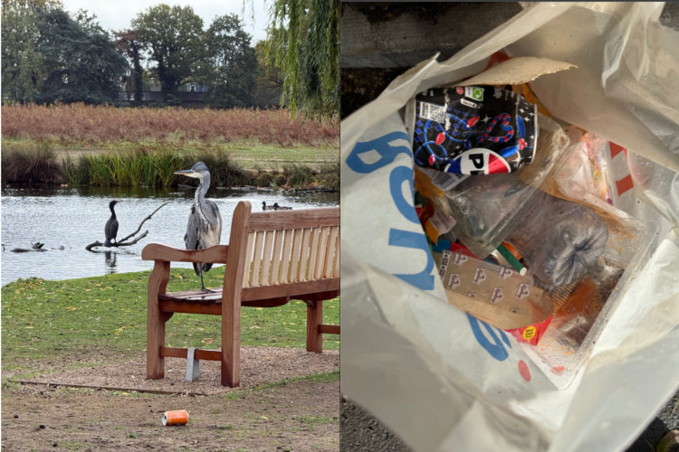 A local resident spent the morning collecting rubbish from the lake in Bushy Park (Credit: Julie Twickers)