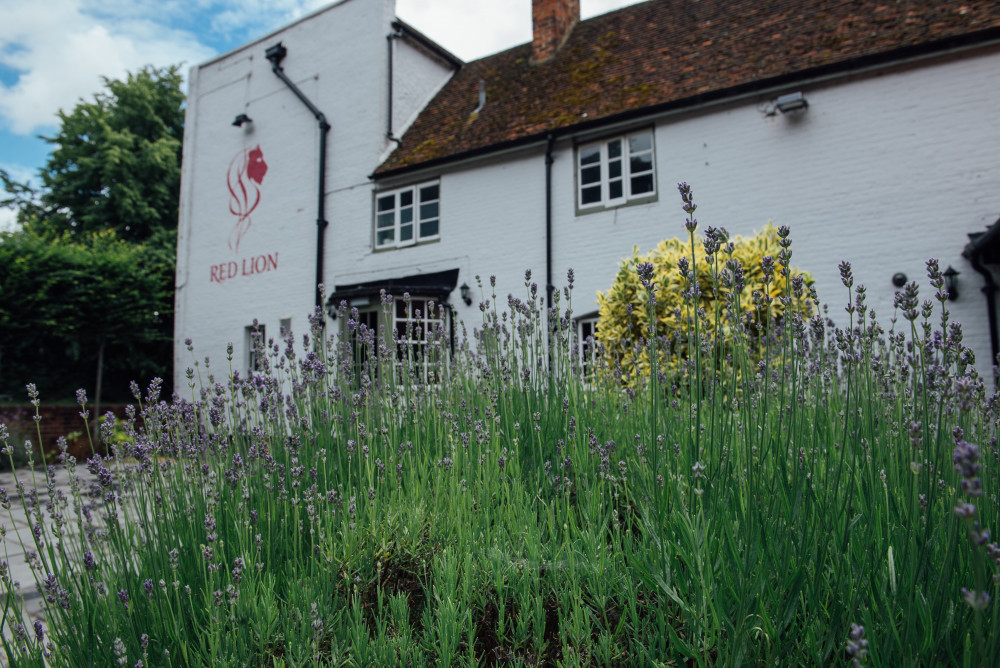 Red Lion, Water End