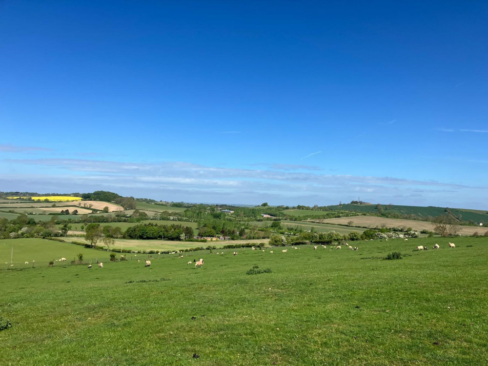 Fields overlooking the site in Tilton on the Hill (image supplied)