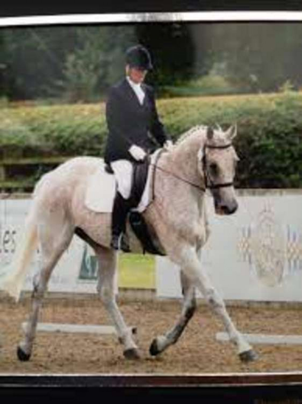 Photo: Alsager Equestrian Centre Photo: Alsager Equestrian Centre