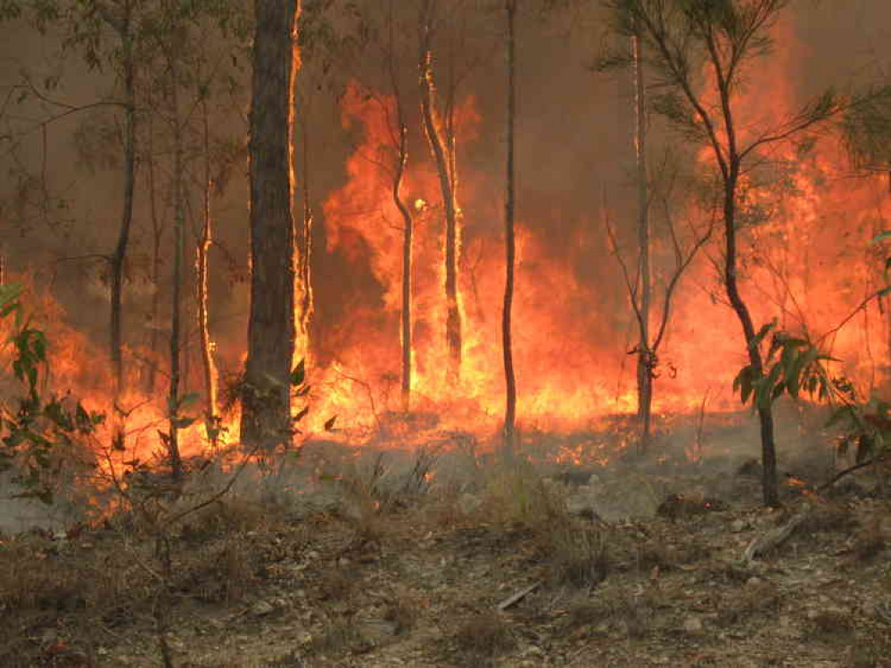 Bushfires have ravaged parts of Australia (Photo: 80 trading 24) Bushfires have ravaged parts of Australia (Photo: 80 trading 24)