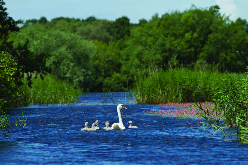 Westhay Moor Nature Reserve (Photo: Guy Edwardes)