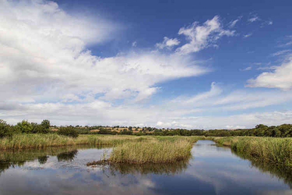 Westhay Moor National Nature Reserve (Photo: Paul Eaton)