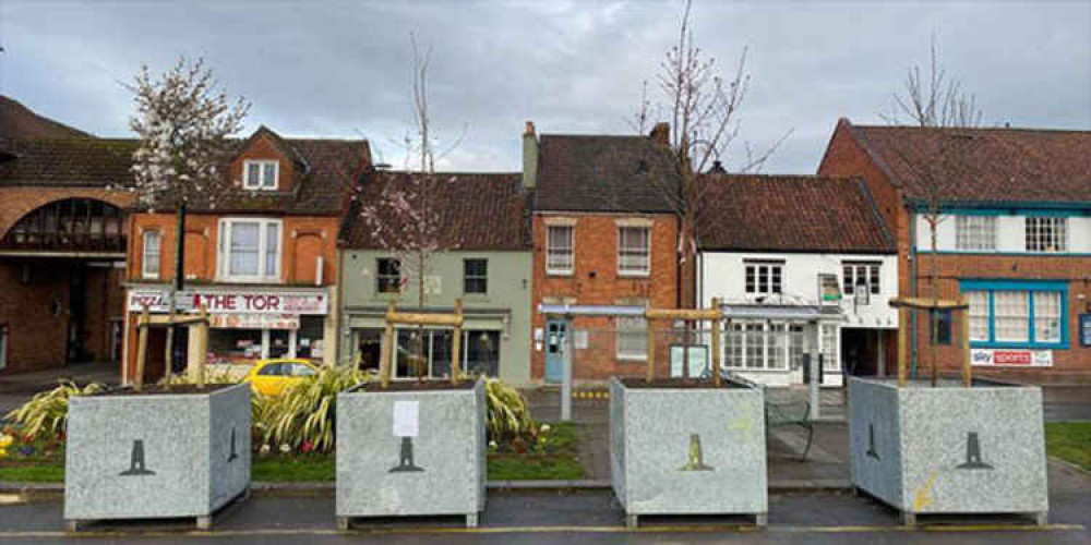 The tree planters in Glastonbury