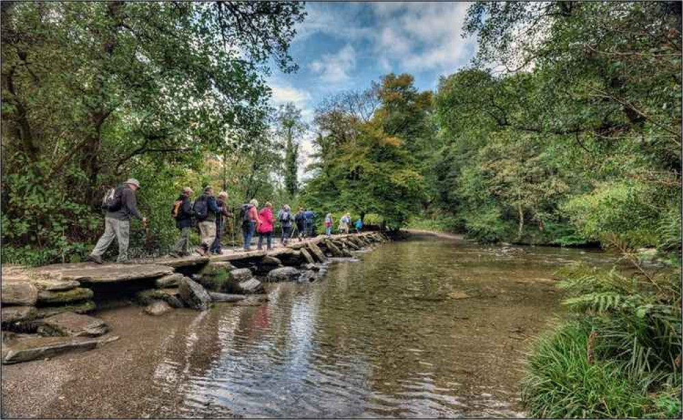 Tarr Trek by Jeff Hutson