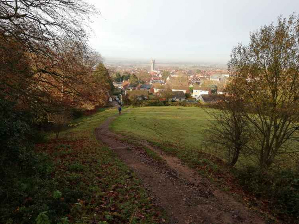 Bushy Combe, which Jeremy often walks down on his way back from a walk up the Tor