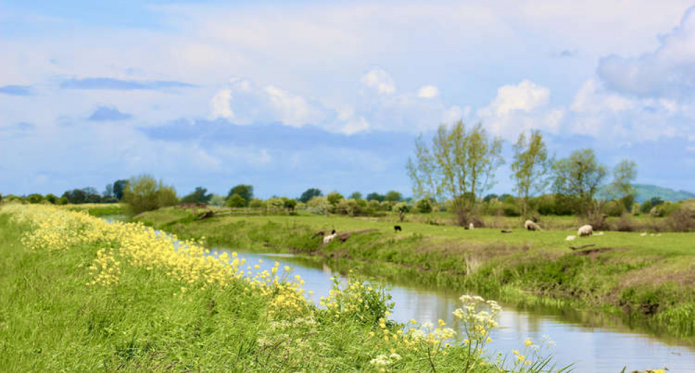 Somerset Wildlife Trust has secured the purchase of Honeygar Farm