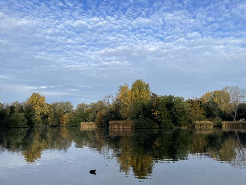 Clear skies in Battersea Park overlooking the pond (credit: Lexi Iles)