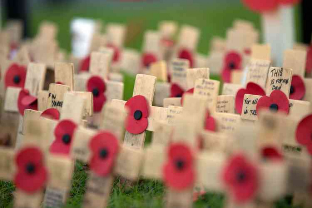 The Poppy Appeal starts this weekend (Photo: George Hodan)